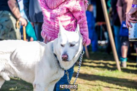 Equinox Festival 2017