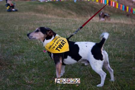 Equinox Festival 2019