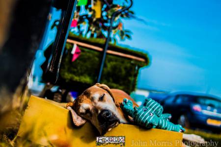 Festival memory 4